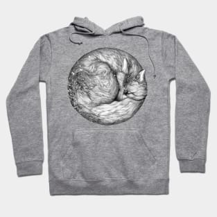 The Infinite Fox Hoodie